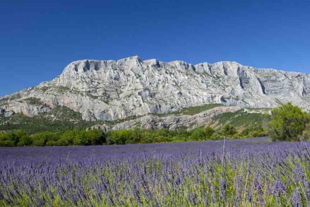 Le Cardinale - Un Voyage En Provence - 2 Chambres Avec Parking エクス＝アン＝プロヴァンス エクステリア 写真